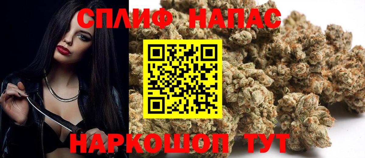 Конопля марихуана  Конопля индика  Марихуана планчик  Вход с VPN  Скопин  Каннабис Bruce Banner 